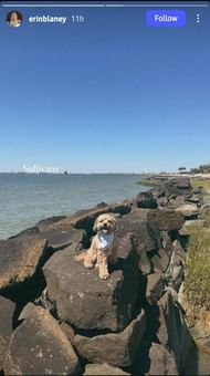 Erin Blaney captured a snap of her dog in a new outfit with a heartfelt caption (Source: @erinblaney on Instagram)